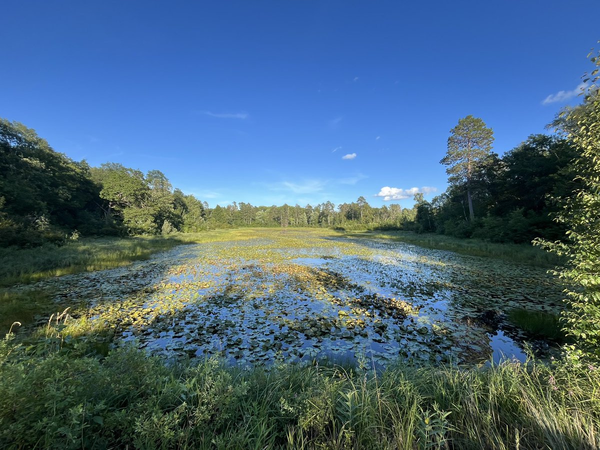 Itasca Biological Station & Labs tweet media