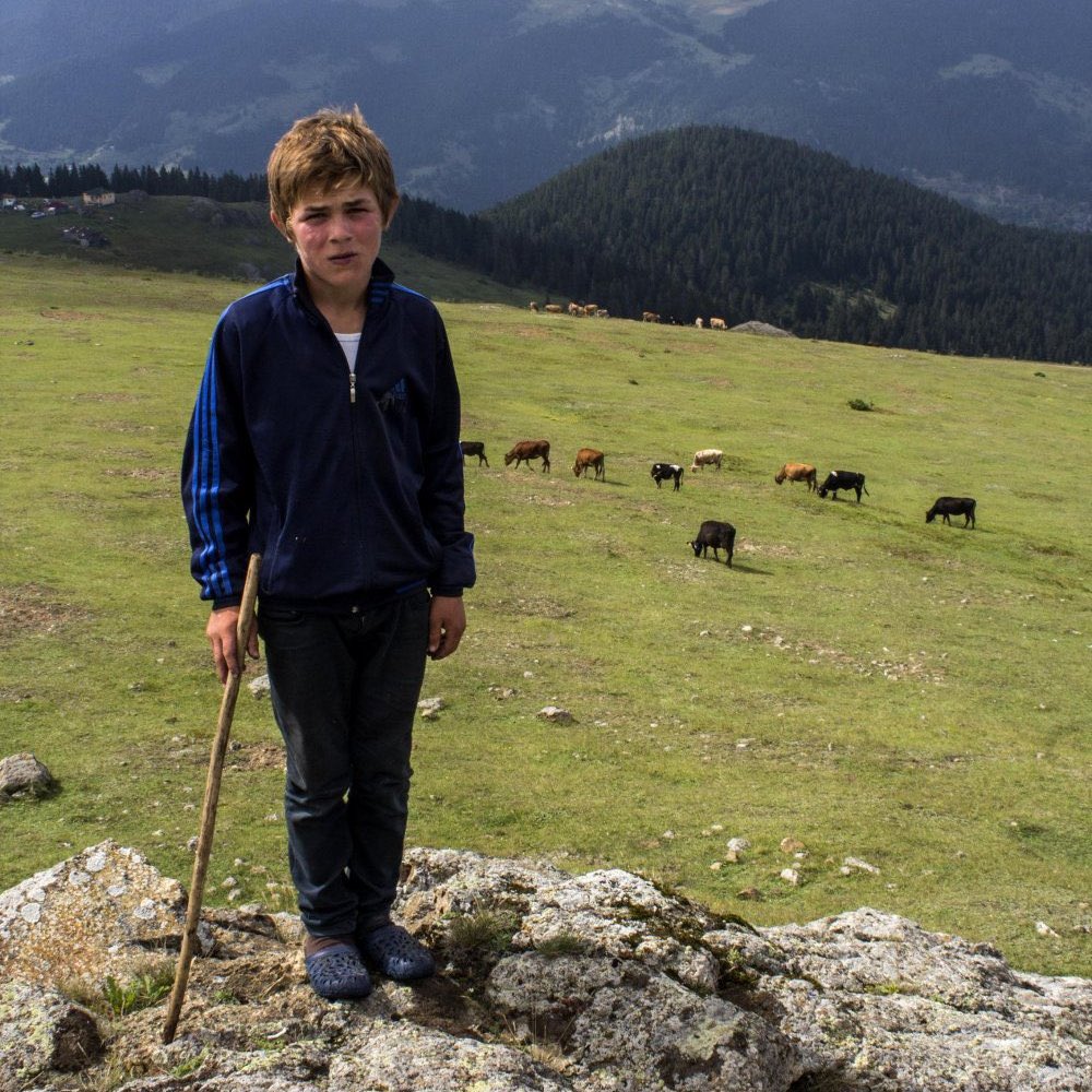 Yıldızsın aysın, Eren iyi ki varsın...

 #iyikivarsınEren