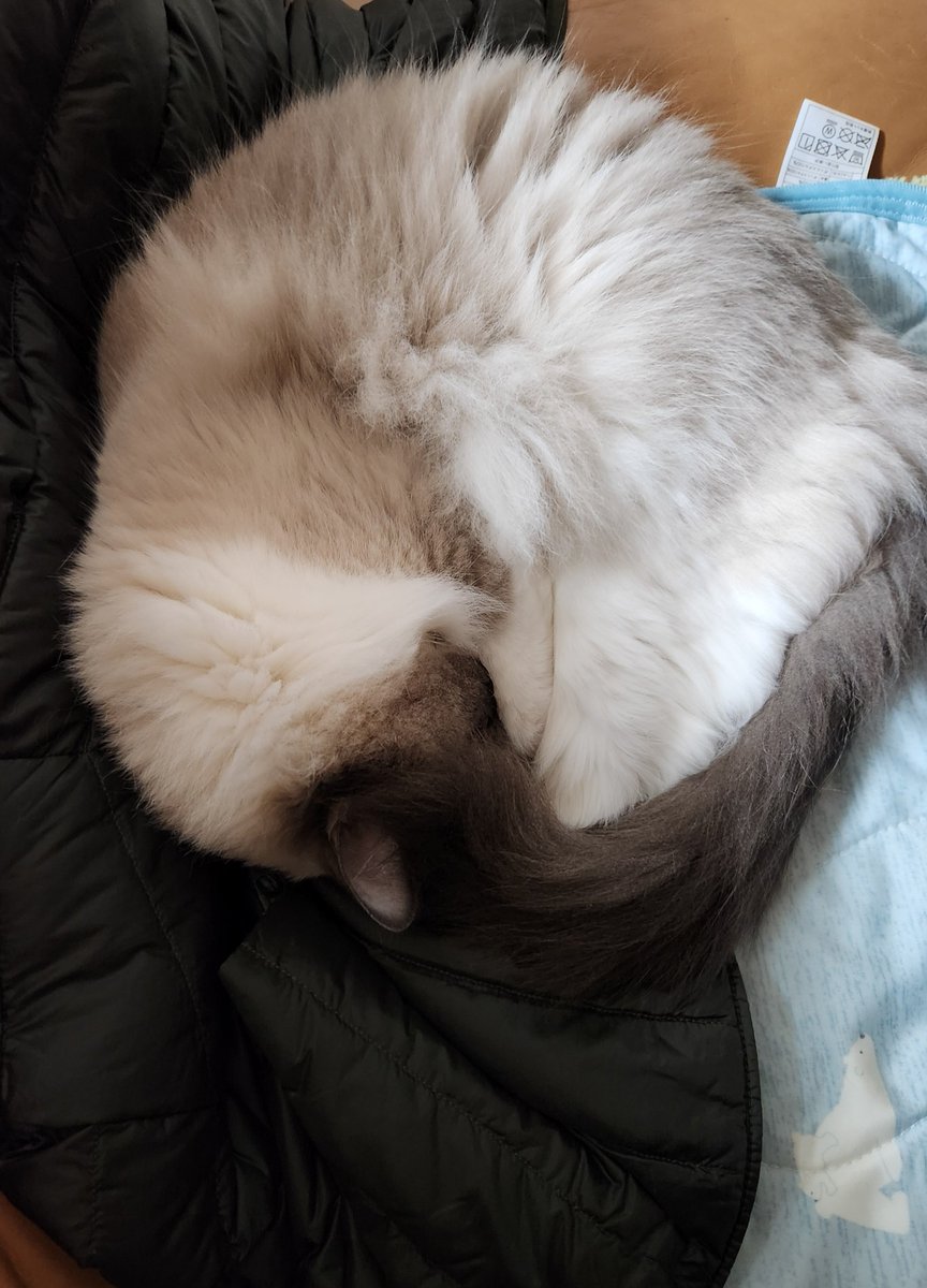 ナンナ ピタパン 