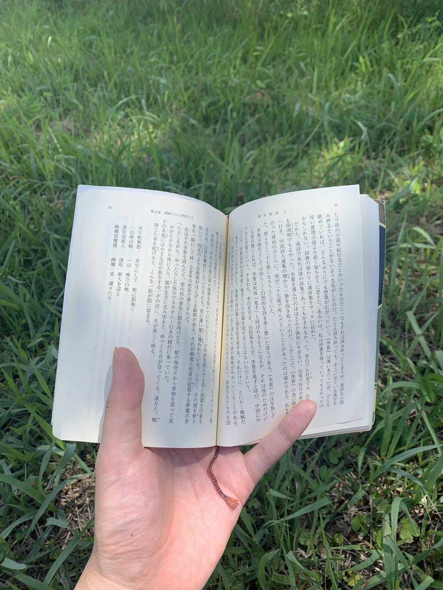 海岸亭 tweet media