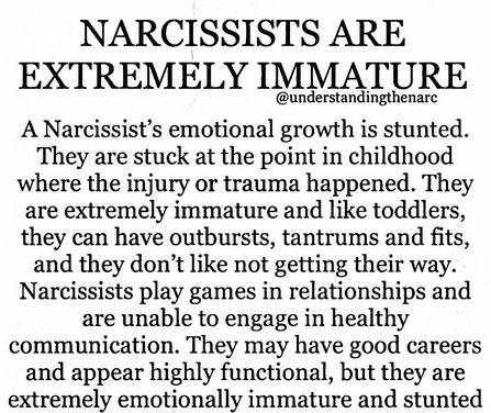 The Narcissist Box (@narcissistbox) on Twitter photo 