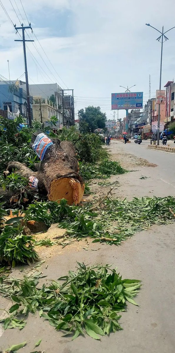 विकास पागल हो गया है 😞
हल्द्वानी