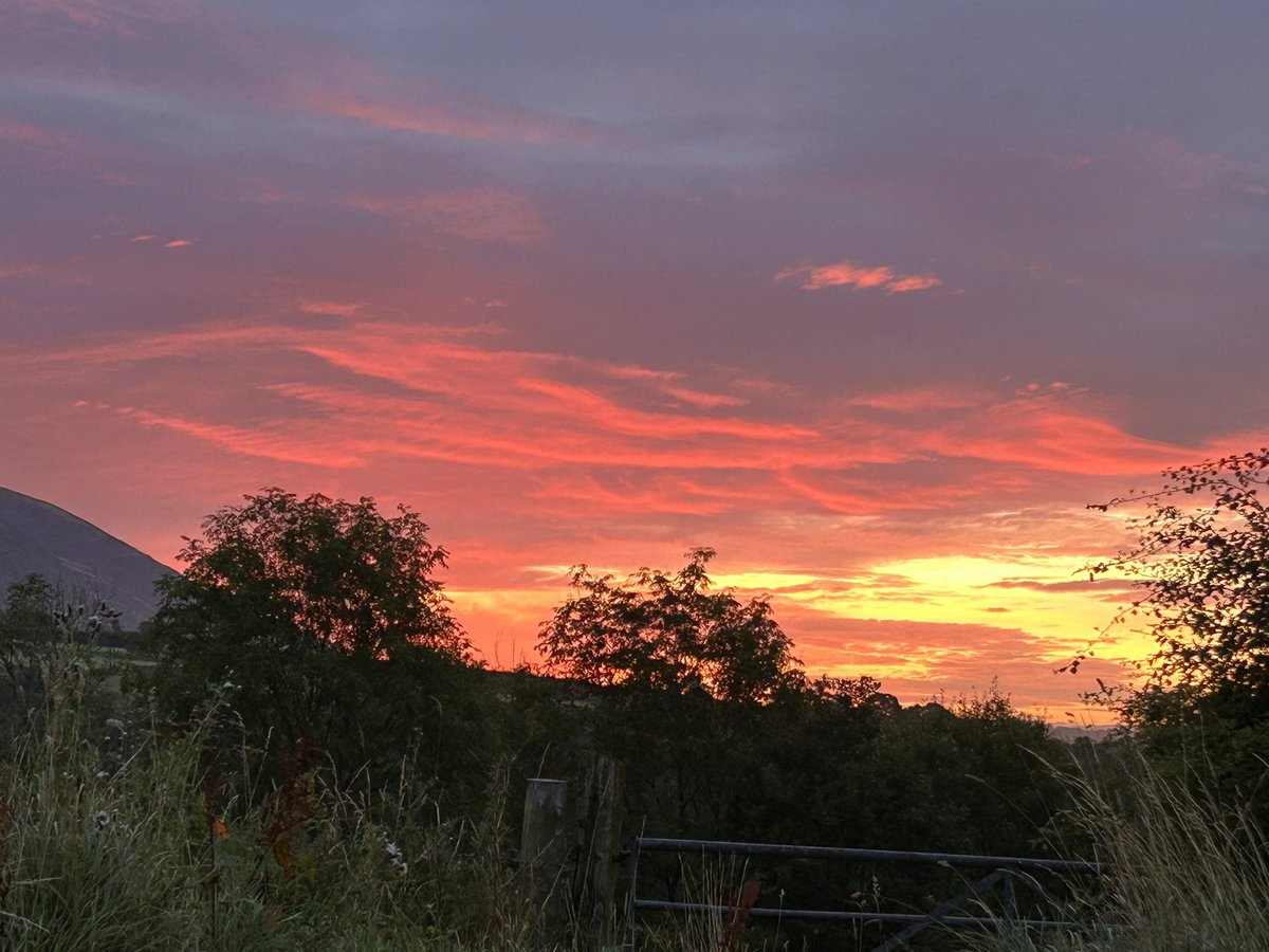 Tara Vallente tweet media