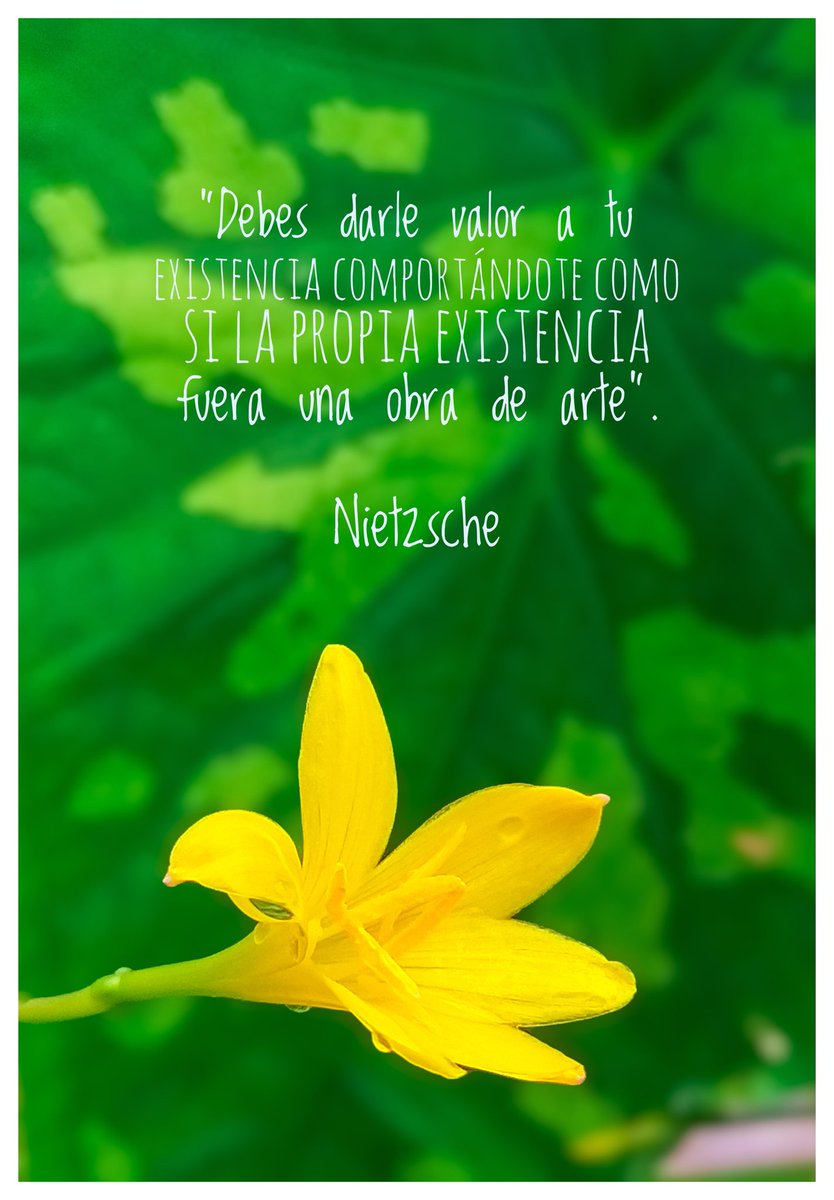 Ethoska's tweet photo. https://t.co/WP9UiB3hUV