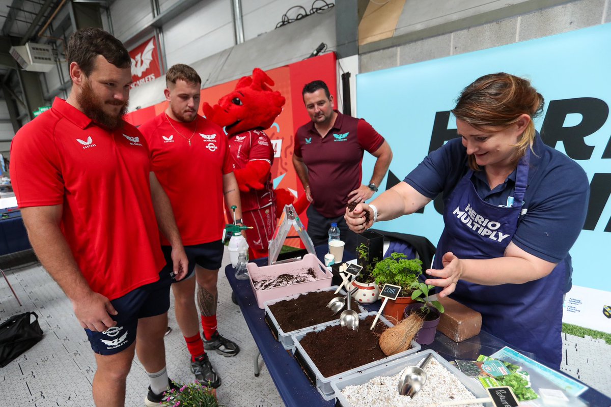 CymunedScarlets's tweet photo. A brilliant day in partnership with @heriomultiply for our summer of fun family fun day,A big thank you to @scarlets_rugby players 

Diwrnod arbennig heddiw yn ein Diwrnod hwyl teuluol yn cydlynnu gyda @heriomultiply - braf I weld y plant i gyd yn mwynhau gweithgareddau gwahanol. https://t.co/MryfkAa7Jy