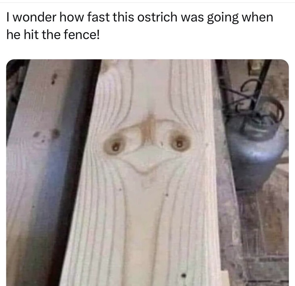 Dad Jokes (@dadsaysjokes) on Twitter photo 