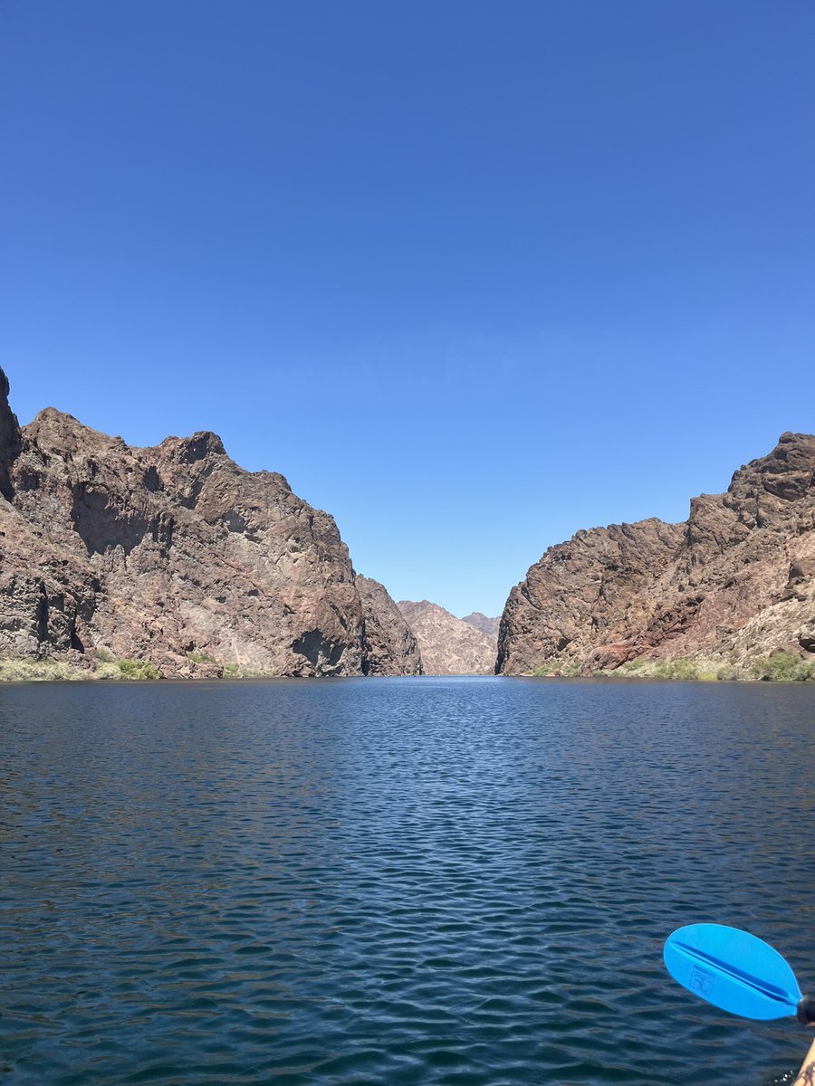 Ross Wilson tweet media