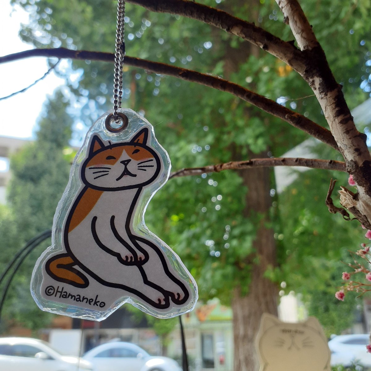 hamaneko__'s tweet photo. 早いもので # ギャラリー元町での展示も本日最終日なのね

# 猫 https://t.co/ZohuajhM1b
