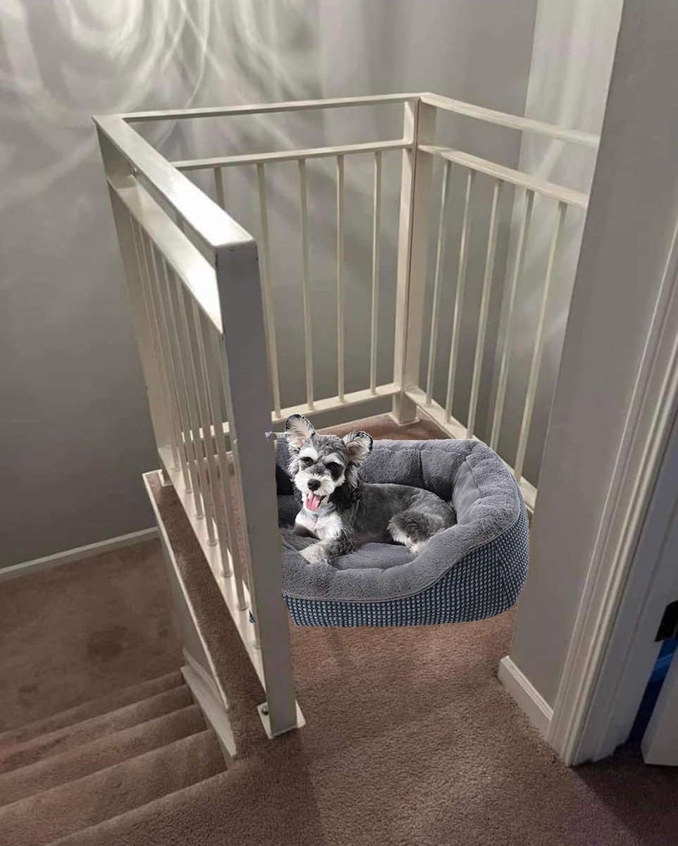 town_sakura's tweet photo. @hashjenni I would add a pet bed ���� https://t.co/g7LuXUyY7O