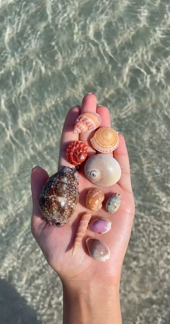 지운다 (@ptnwmassdol002) on Twitter photo 