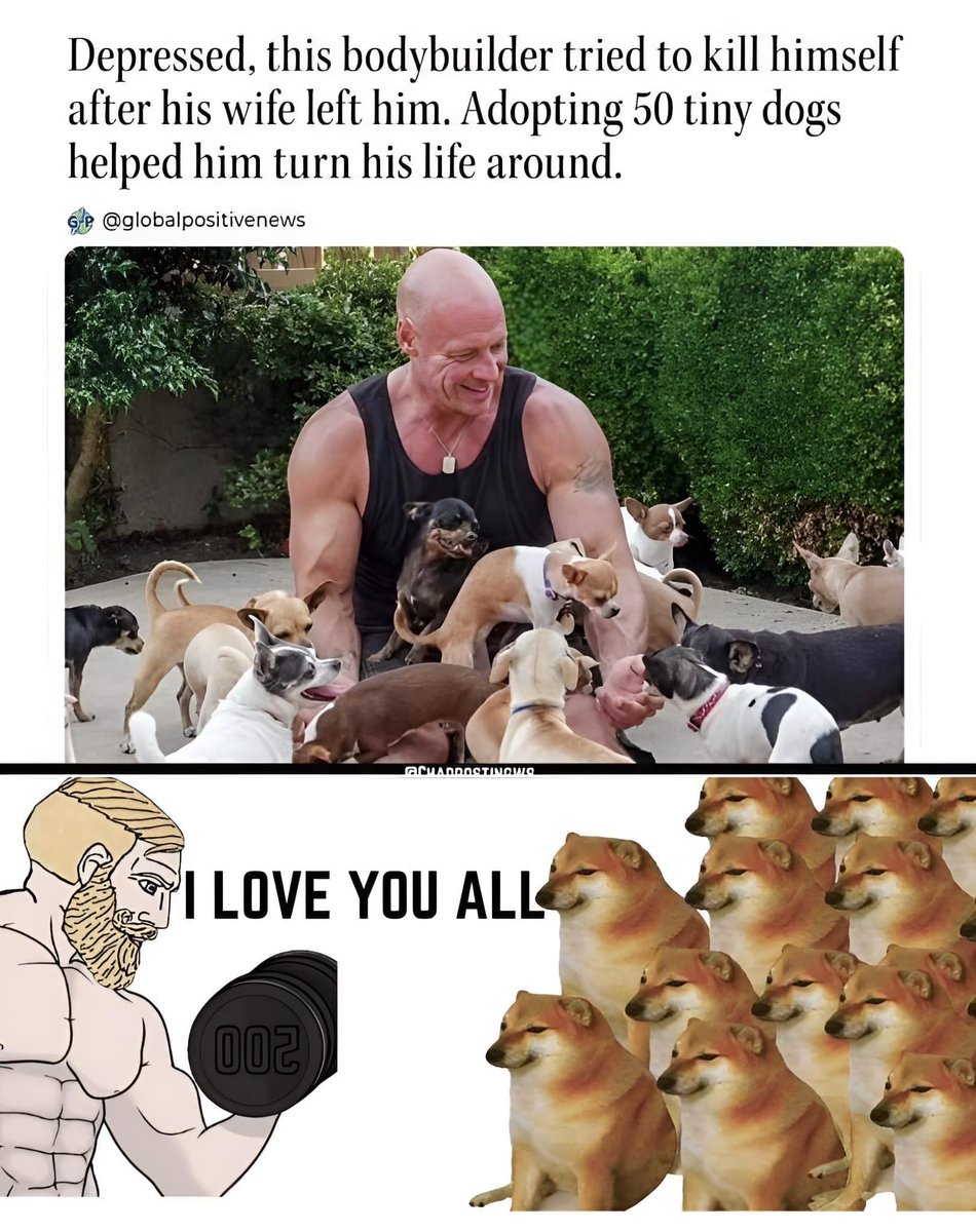 Rothmus's tweet photo. 💪🐶 https://t.co/WXWIOXxU4Q