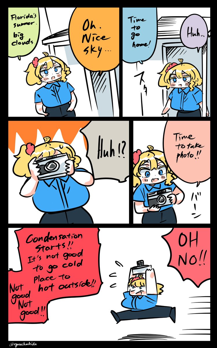 "Emergency" Florida diary. 