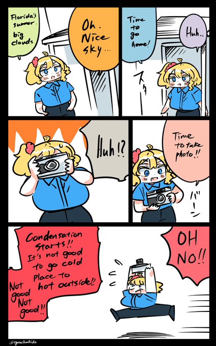 "Emergency" Florida diary. 