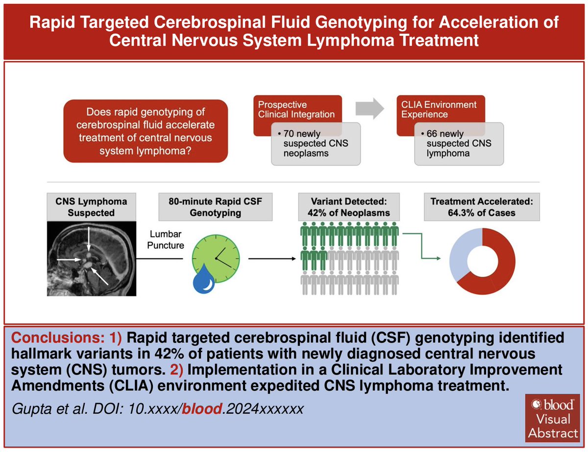 MGH Neurosurgery (@mghneurosurg) on Twitter photo Liquid biopsy for CNS lymphoma. Neurosurgeons are often asked to provide tissue biopsy but the varied presentation and imaging in CNS lymphoma can take time to come to biopsy. Direct CSF genotyping, as developed in the <a href="/ShankarLabMGH/">Shankar Lab MGH</a> <a href="/MGHNeurosurg/">MGH Neurosurgery</a> can shrink the time to Liquid biopsy for CNS lymphoma. Neurosurgeons are often asked to provide tissue biopsy but the varied presentation and imaging in CNS lymphoma can take time to come to biopsy. Direct CSF genotyping, as developed in the <a href="/ShankarLabMGH/">Shankar Lab MGH</a> <a href="/MGHNeurosurg/">MGH Neurosurgery</a> can shrink the time to