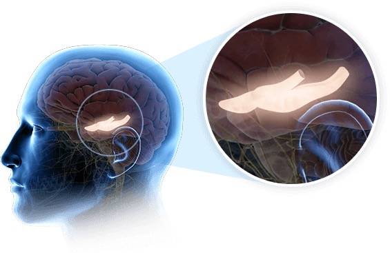 derikmatthews's tweet image. Ultimate Reviews Blogger: Sweet Dreams Are Made of This: GeniusWave Original... daustinmatthews.blogspot.com/2024/08/sweet-… 
#SleepRevolution #BrainwaveTechnology #RelaxationMode #SweetDreamsGuaranteed