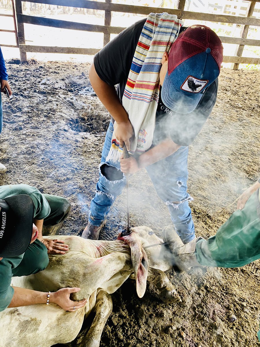 Seguimos trabajando 🙌🏾