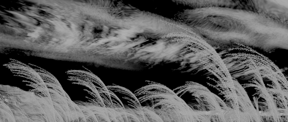 ruindrop tweet media