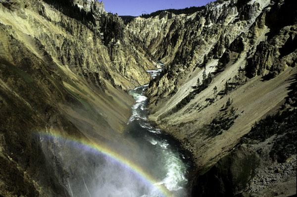 SE_Future's tweet image. Historical Lessons of Successful Conservation Movements dlvr.it/TBmRbz