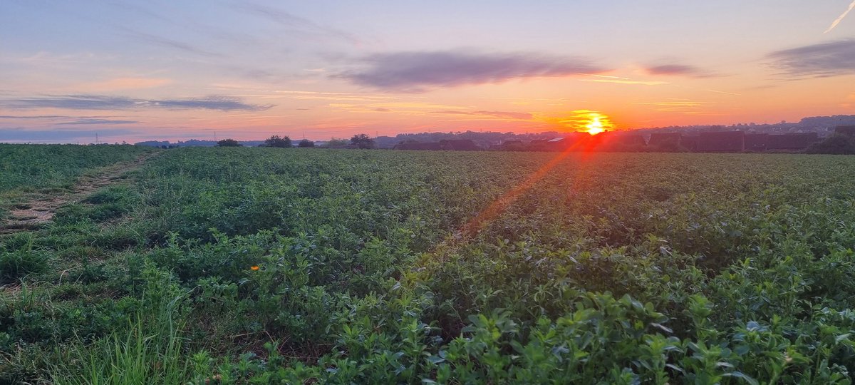 Attend2Health's tweet photo. Always love seeing a good sunrise over Buntingford. Nice to get out while it's lovely and cool. Great to make the most of the day. #surise #MentalHealth #attend2health #counsellors #chiropractors #osteopaths #physiotherapists #massagetherapists #motionislotion #seizetheday https://t.co/yQ7ibdA94l