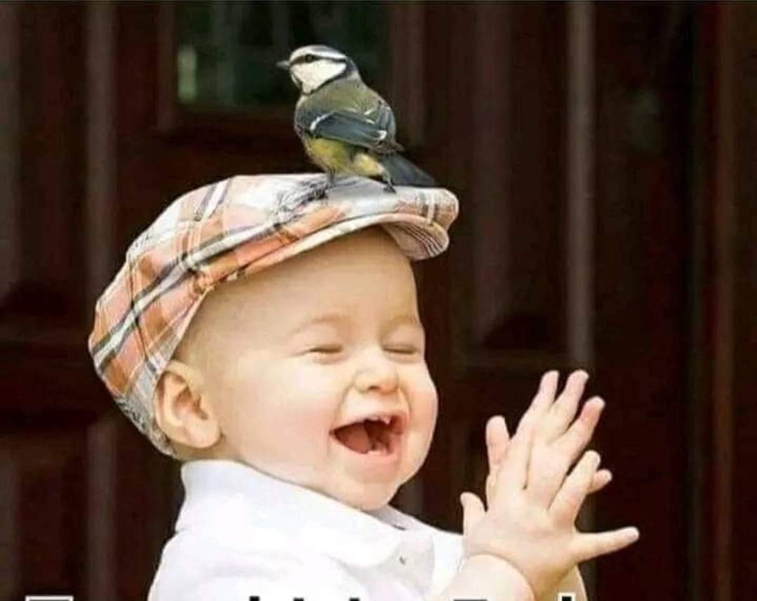 SB121235's tweet photo. Bugün 
günlerden #pazar, 
fazla uyku beni bozar. 
Uyandım bekliyorum.
Belki biri kahvaltı hazırlar😁

________//#SB  @SBZC35 @Sb35__ https://t.co/t5sqXWZOxE