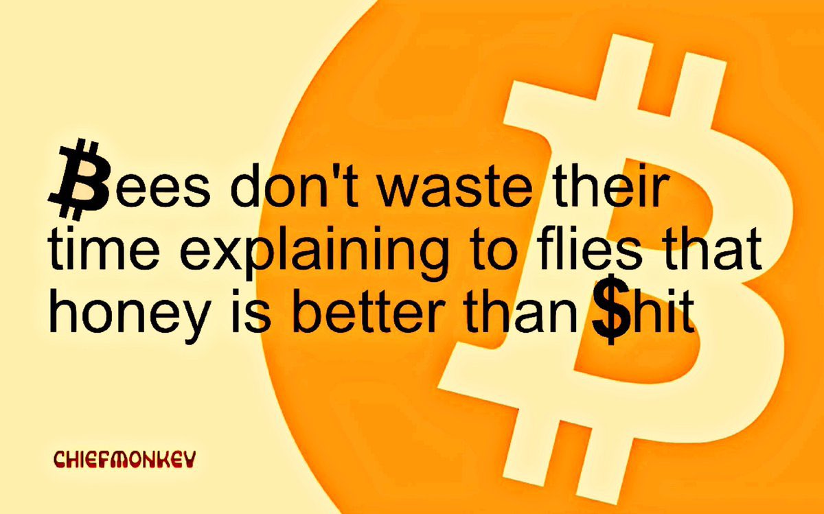 Bees don't waste their time explaining to flies that honey is better than shit. #Bitcoin