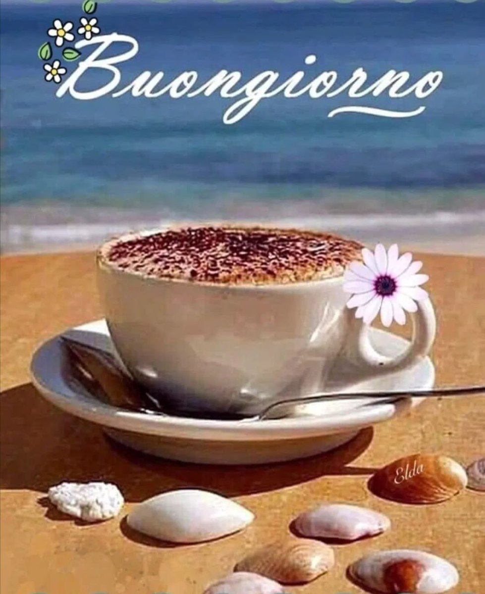 RITABIANCHi56 tweet media