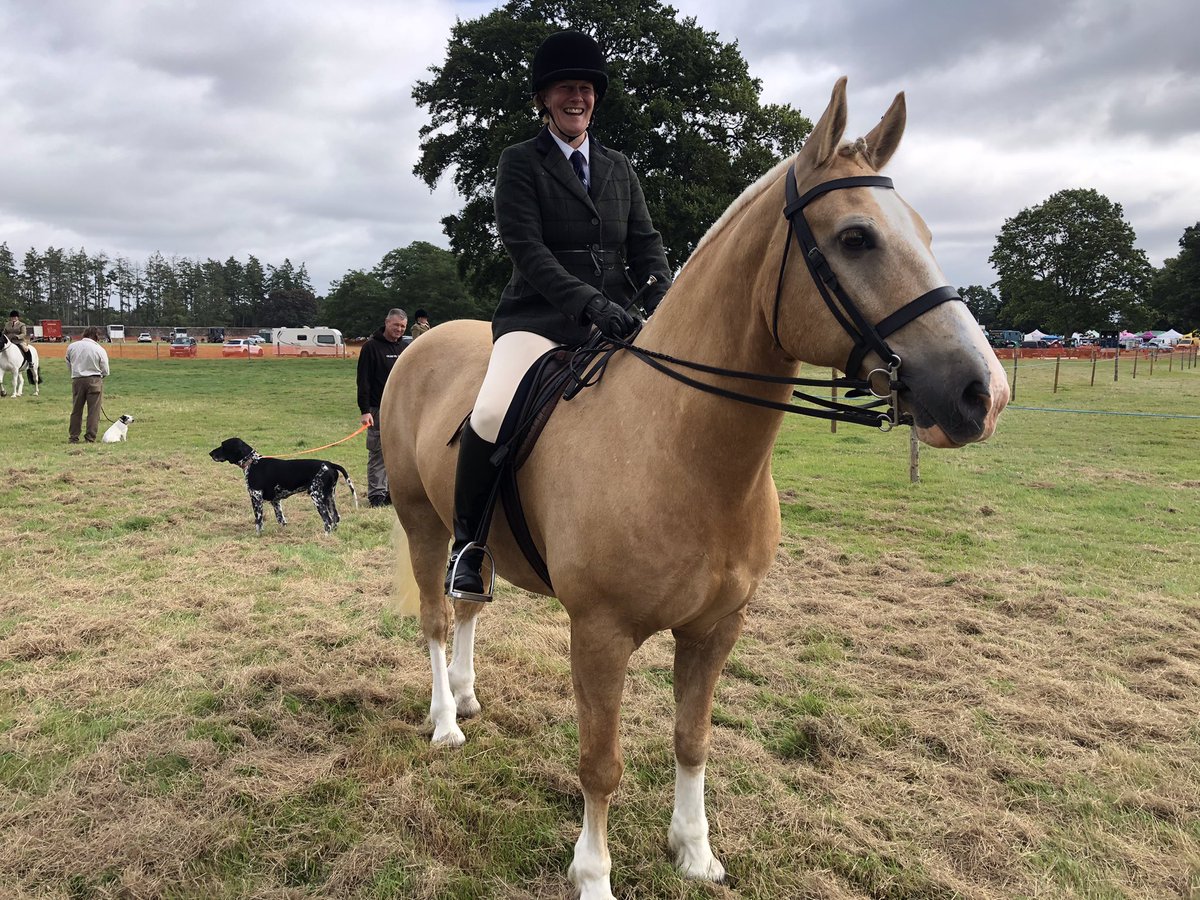 andym_editor's tweet photo. A brilliant day on Saturday at the superb #EllinghamShow yesterday. Always a terrific community feel to this annual event going since 1947. @journalupdate @Bournemouthecho https://t.co/XlvVNdQxDs