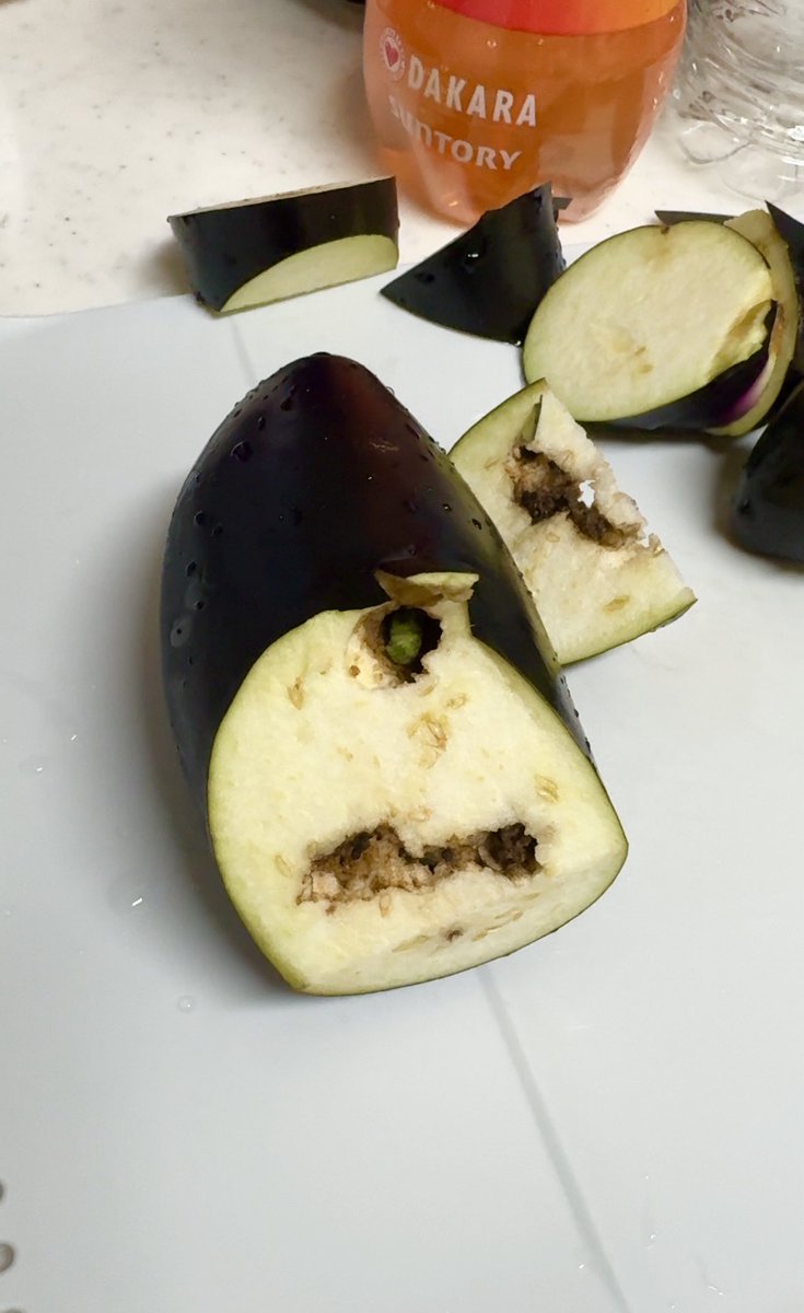 スーパーで買ったナスビ切ってたら
生きた芋虫出てきたんやけど‼️
こんな事あんねんな😂
🍆食い散らかして超元気そうやったわ（笑）
しばらく野菜切るのドキドキしてまう