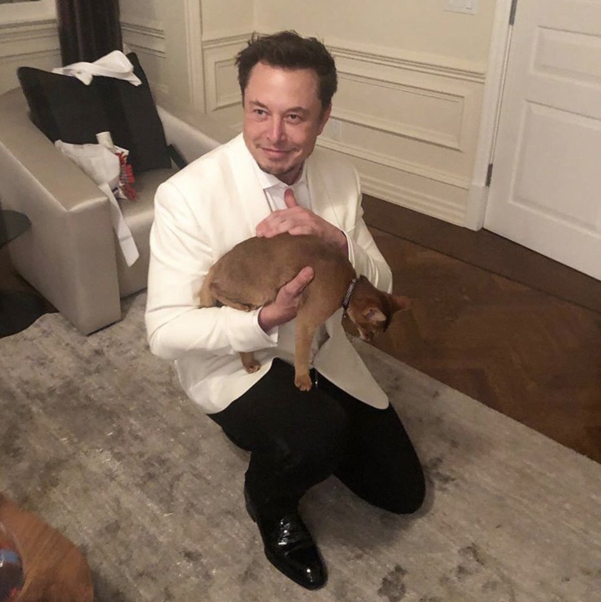 Astro Greek tweet media