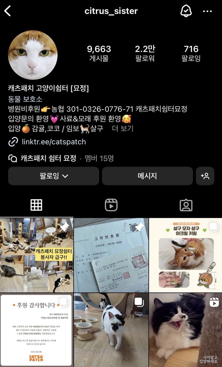 infiniteloopwdz's tweet photo. 후원 쉼터 : 캐츠패치 고양이 쉼터 묘정
📍Insta @ citrus_sister https://t.co/aeLGLJm5lh