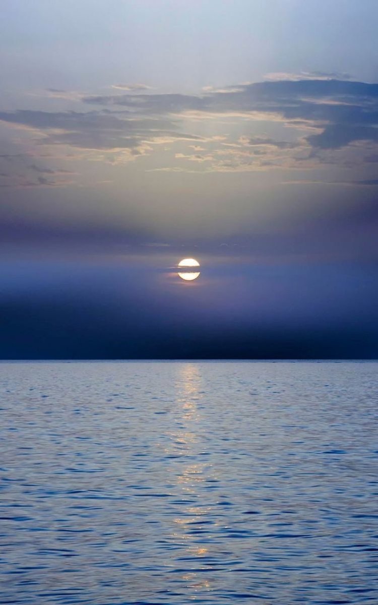 MOON LOVER tweet media