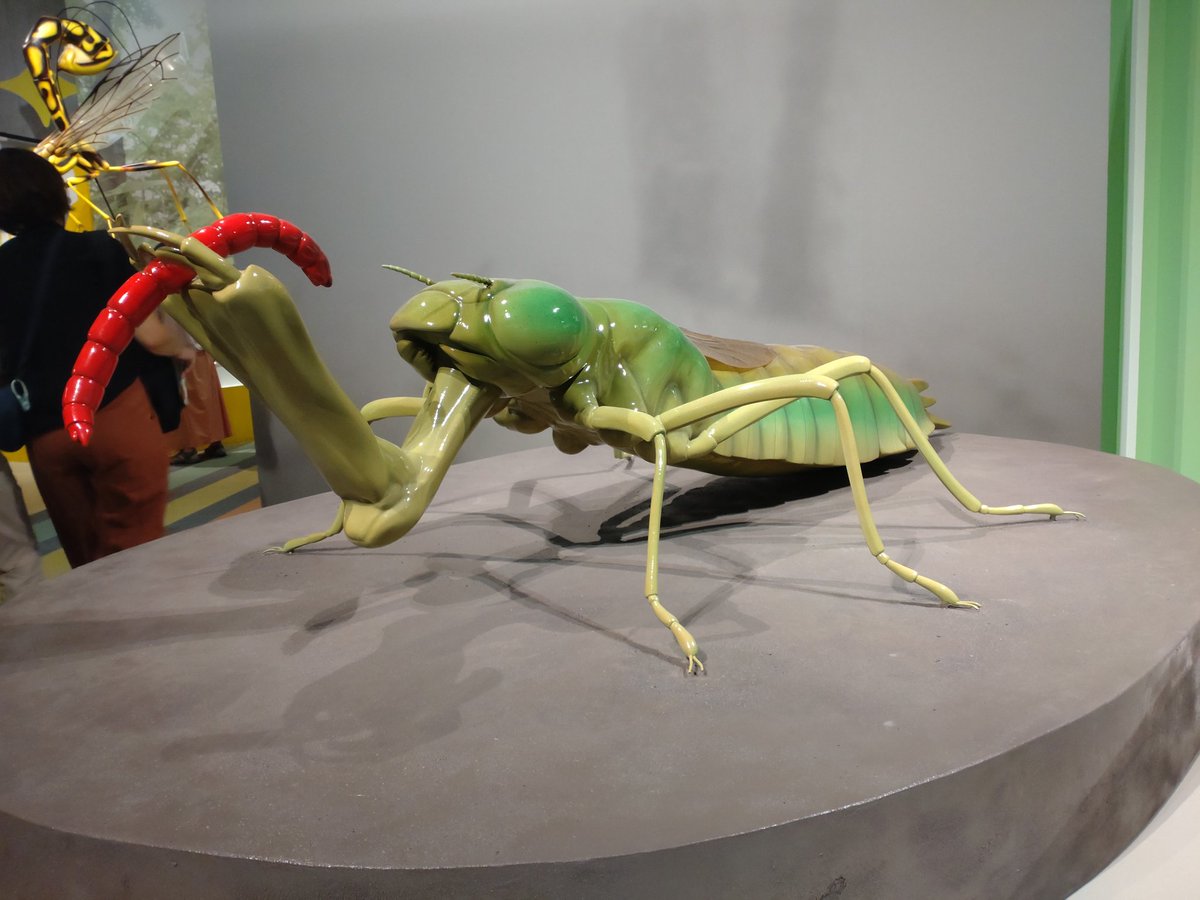kaitaimono_list's tweet photo. 昆虫展【上野】
上野の国立科学博物館で開催中の昆虫MANIAC展！
昆虫の分類や生態などの基礎情報から、みんなが知らないマニアックな生態まで詳しく知られる展示🙌
標本もたくさんあってちっちゃい子どもたちはもちろん親御さんも結構盛り上がってる印象😆
この猛暑の中で涼めるお出かけ場所いいね👍️ https://t.co/Z2u765OM9q