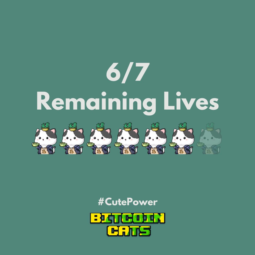 BitcoinCats1Cat's tweet photo. Congrats, we survived the crypto crash this week! 🚀 #CutePower #1CAT https://t.co/vS2kO8WWeT