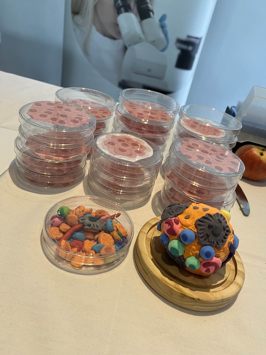 CRUK Manchester Institute (@cruk_mi) on Twitter photo We had a brilliant day yesterday taking our exhibit #TheCancerCode to <a href="/jodrellbank/">Jodrell Bank</a> as part of the <a href="/royalsociety/">The Royal Society</a> summer science event. Join us again today as our researchers join with <a href="/cruk_nbc/">CRUK National Biomarker Centre</a> & <a href="/UoM_DCS/">Division of Cancer Sciences</a> to share stories of cutting-edge #CancerResearch in #Manchester We had a brilliant day yesterday taking our exhibit #TheCancerCode to <a href="/jodrellbank/">Jodrell Bank</a> as part of the <a href="/royalsociety/">The Royal Society</a> summer science event. Join us again today as our researchers join with <a href="/cruk_nbc/">CRUK National Biomarker Centre</a> & <a href="/UoM_DCS/">Division of Cancer Sciences</a> to share stories of cutting-edge #CancerResearch in #Manchester