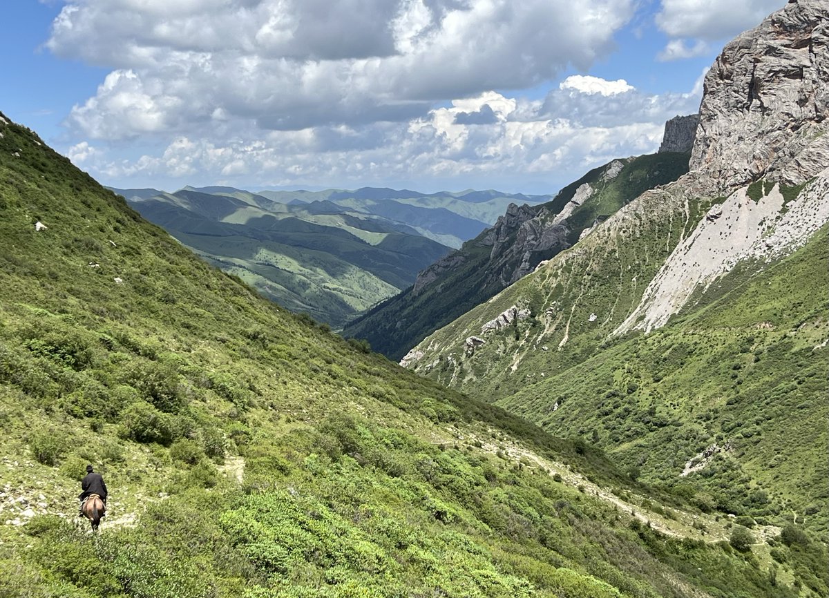 JustATinyWindo1's tweet photo. #Zhagana, #gannan A 4 day, 3 night solo hike at 3,500m turned into a 42 km 2 day, 1 night hike due to poor directional sense. A few Tibetan herders, yaks, and some Himalayan #marmots - good for a little me time! #China #hiking Though, I'm seriously city soft... https://t.co/C5eNN6Zbgu