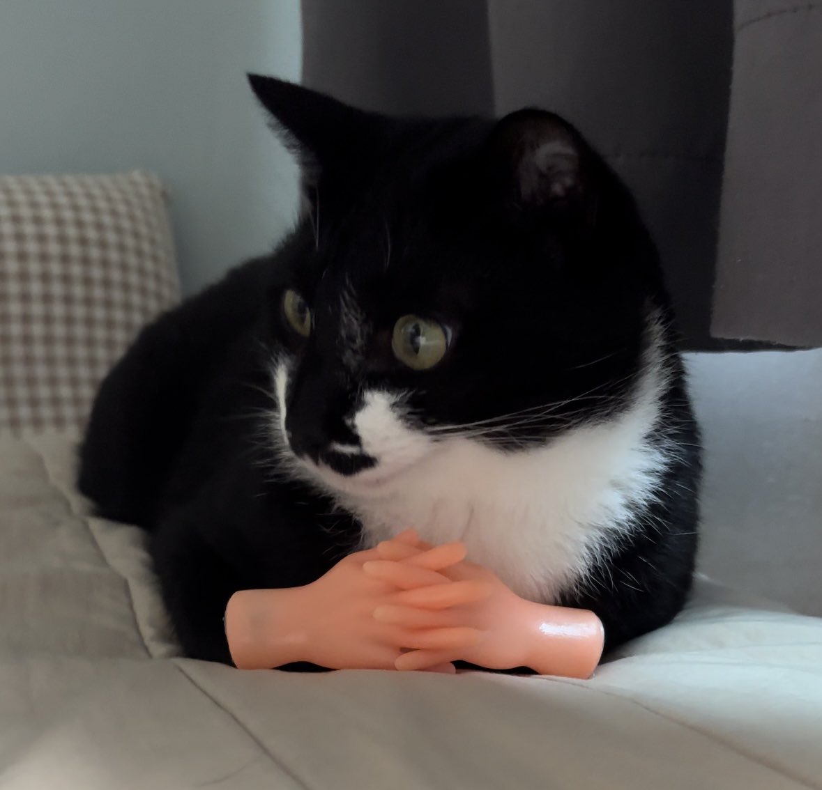 흐음.. 곤란하군요,,