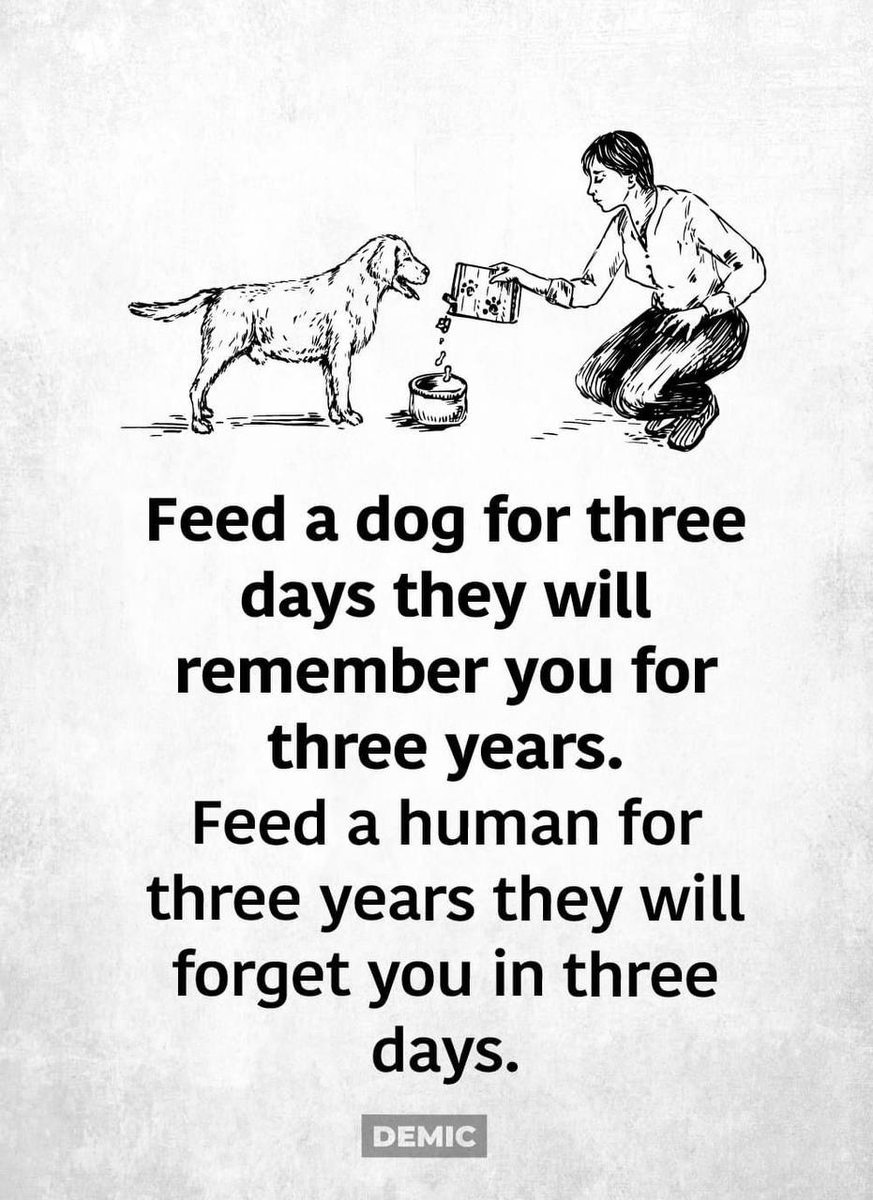 mindfulmaven_'s tweet photo. https://t.co/BsGJy2rPIc