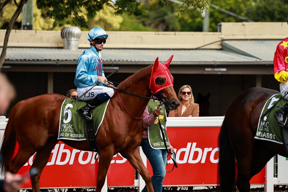 THE RETURN OF THE KING! 👑 

KING OF ROSEAU has come back stronger as a 3YO for <a href="/SnowdenRacing1/">Snowden Racing</a> and looks to return to the trials this Friday 💪

The <a href="/NewgateFarm/">Newgate</a> Capitalist colt has won over $250,000 in just 5 starts and was only narrowly beaten in the 1 Million Dollar