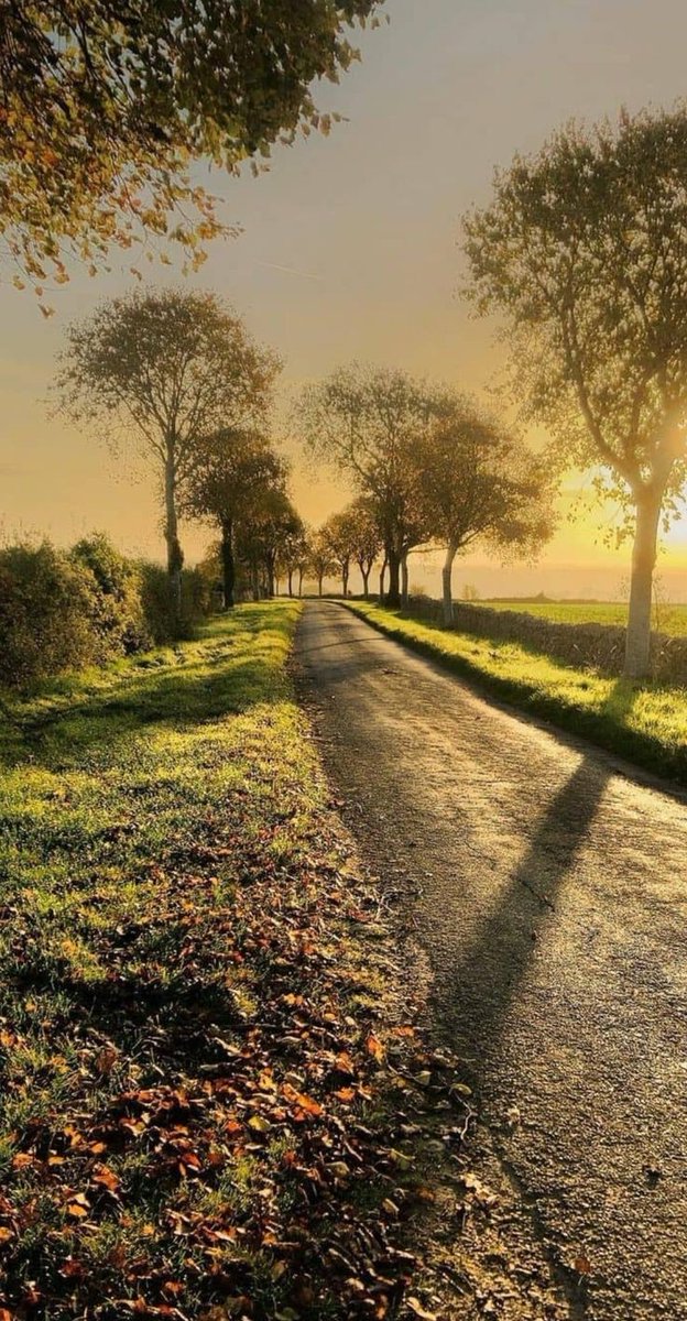 Dobro jutro 🌞 Have a amazing Sunday ☘️🌷☘️

#morning #nature #photo