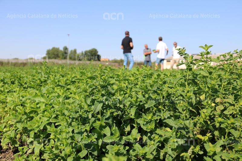 ACNponent tweet media