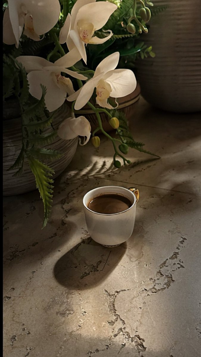 €§ђ6ặ tweet media