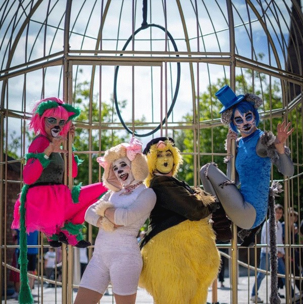 theatreporto's tweet photo. ☀️ It's Sunday Funday and the sun is shining for the last day of #TopsyTurvy24 in #EllesmerePort! 🎉

✅ The Family Hangout ✅ Interactive Dog Show 🐾 ✅ Acrobatic Cartoon Capers ✅ Circus Workshop 🎪 ✅ Hobby Horse Show Jumping 🐴 ✅ Art, Dance &amp; more free activities from 11am! https://t.co/Zd1gYRlvHk