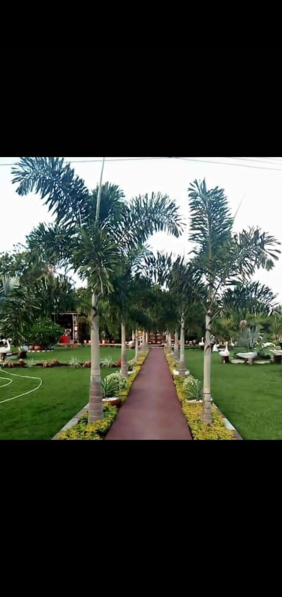 Karibu kwa kazi zote za garden,  ukoka maua mawe nk,  call us: 0696599678
