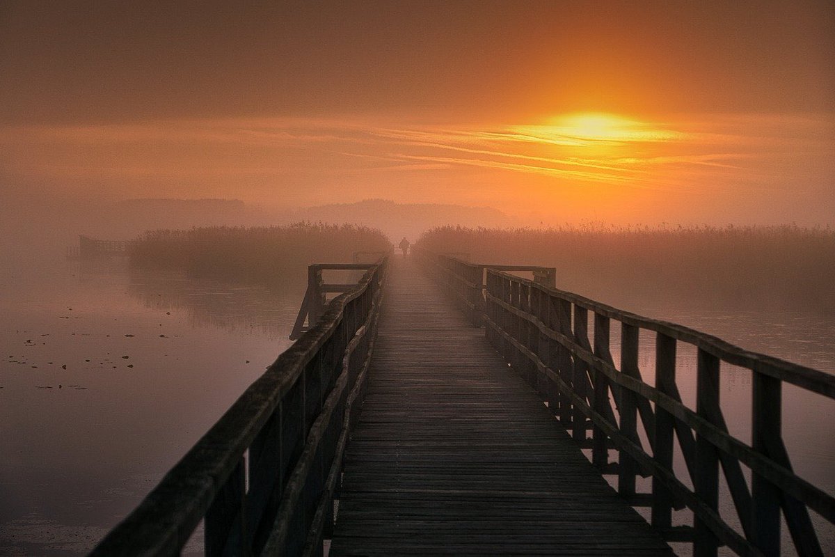 Steve58815862's tweet photo. Good morning everyone. Happy Sunday 🌞☕️
#11Aug #sundayvibes #sunday #weekendvibes #beauty #beautiful #nature #naturelover #naturebeauty #naturephotgraphy #wallpaper #Wallpapers #scenery #GoodMorningEveryone https://t.co/CCcJM7YiF3