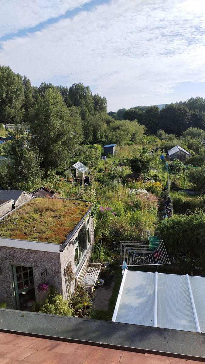 #allotment joy .  IYKYK