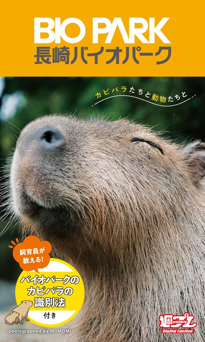 週プレのデジタル版で出版🙌 カピバラの個体識別や園内の可愛い動物達