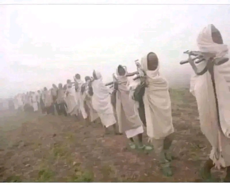 እንዴት አደራቹህ መላው አማራውያን?
በያላቹህበት የአለም ዳርቻ ሁሉ ሰላማቹህ ይብዛልን።

መልካም እሁድ ተመኘሁላችሁ።

ፎቶ፦ መለኛው የጎጃም ገበሬ