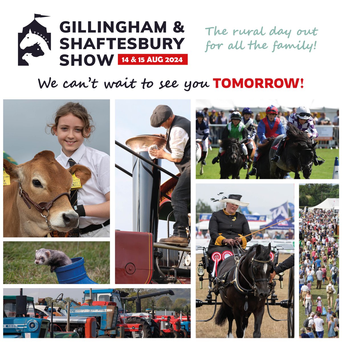 🌞 Tomorrow’s the Day! The Gillingham and Shaftesbury Show is set up and ready to go!

Don’t miss out on Dorset’s finest! 📅 Aug 14-15 | 📍 Turnpike Showground. 

See you there!

Tickets ➡️ tinyurl.com/yfcrrmuc