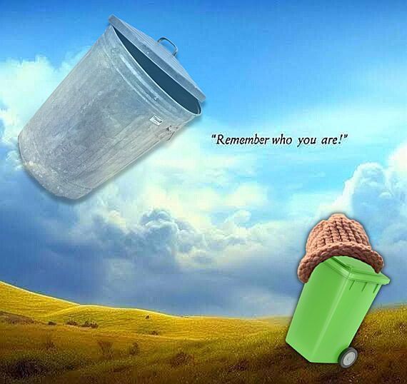 binwifcoin tweet media