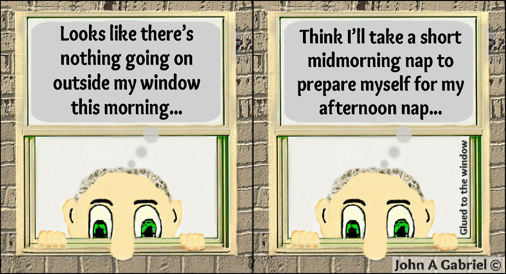 BuryThatJoke's tweet image. Looks like there’s nothing going on outside my window this morning. Glued to the window. #napping #nap #nosey #funny #laugh #jokes #comedy #comical #JohnGabriel #life #boring #bored